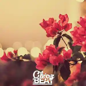 Picture for song 'Taking Trips' by artist 'Chipz On The Beat'