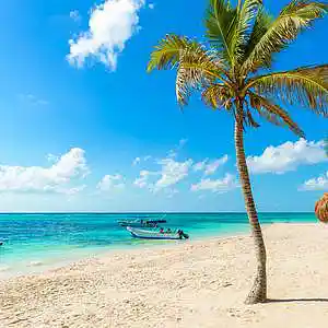 Picture for song 'chill regge' by artist 'DJAHERO'