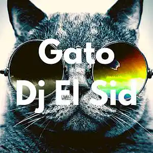 Picture for song 'Gato (Rich The Kid Type Beat)' by artist 'Dj El Sid'