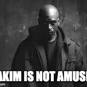 Picture for song 'Streets Of NY Remix' by artist 'Fitz Of Fury'