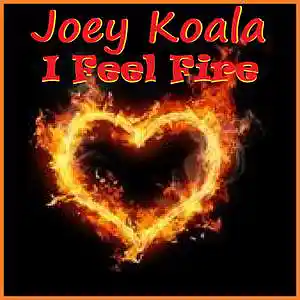Picture for song 'I Feel Fire' by artist 'Joey Koala'