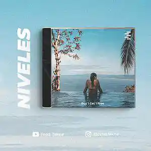 Picture for song 'Niveles' by artist 'valn.maker'