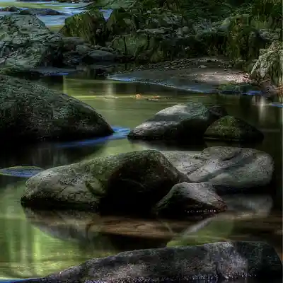 Picture for song 'Froggy' by artist 'TC Alan'