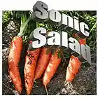 Picture for song 'Eat your Carrots' by artist 'The Sonic Salad'