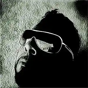 Picture for song 'fErDi0nE - Get Over Ma Face (Voicetags)' by artist 'fErDi0nE music'