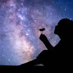 Picture for song 'Constellations' by artist 'From Thin Air'