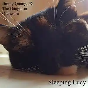 Picture for song 'Sleeping Lucy / Jimmy Quango & Gaugolon Orchestra' by artist 'Jimmy Quango Fingerstyle Guitar'