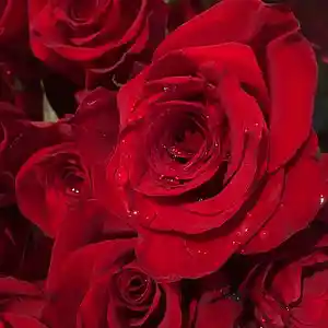 Picture for song 'success' by artist 'NAJE V.'