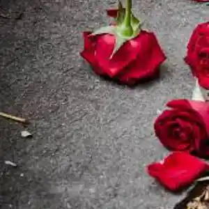 Picture for song 'BEKEZELA' by artist 'Prince Morema'