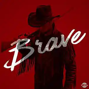 Picture for song 'Brave (Don Toliver Type Beat)' by artist 'Shelby Production'