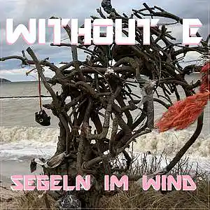 Picture for song 'SEGELN IM WIND' by artist 'WITHOUT E'