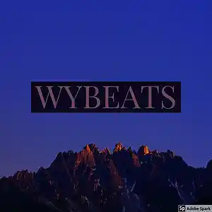 Picture for song 'trap soul beat' by artist 'wybeatz'