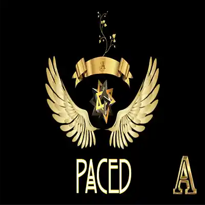 Picture for song 'Paced' by artist 'A's Instrumental Vault'