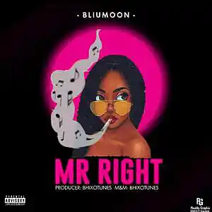 Picture for song 'Mr Right by Bliu Moon' by artist 'Bliu Moon'