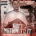 Picture for song 'My Own Way' by artist 'Chedder214'