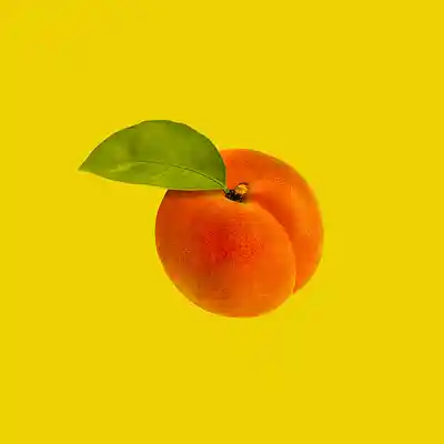 Picture for song 'JUICY - Hard Reggaeton. [BUY 2 & GET 3]' by artist 'LAWSTY'