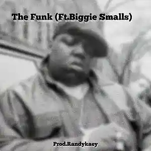 Picture for song 'The Funk (Instrumental)' by artist 'Prod.RandyKaey'