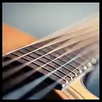 Picture for song 'For You' by artist 'Reichert and Friends'