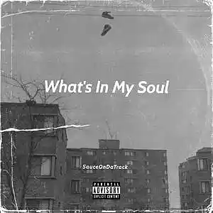 Picture for song 'What's In My Soul' by artist 'SauceDaProducer'