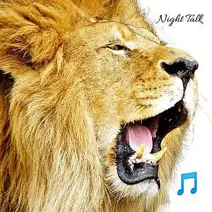 Picture for song 'Night Talk' by artist 'Vito 56'