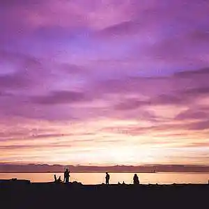 Picture for song '"Certified" #Beats For Sale' by artist 'whoDeanyBeatz'