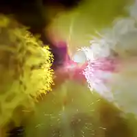 Picture for song '5.fallout wip' by artist 'BGN'