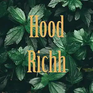 Picture for song 'Get in (FREE BEAT)' by artist 'Hood Richh'