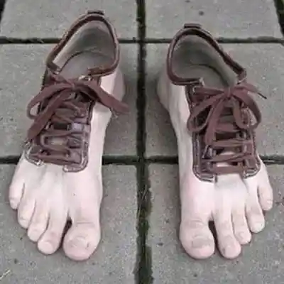 Picture for song 'The Other Shoe' by artist 'JimRoss'