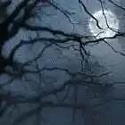 Picture for song 'I See Your Rain' by artist 'Limits of Anger'