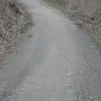 Picture for song 'Maniacal Genius' by artist 'AuDioChosis - Steven F. Allen - AuDio MiRage'