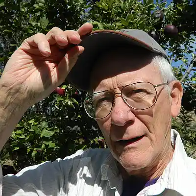 Picture for song 'Time After Time, Hello' by artist 'larry goodell'