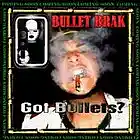 Picture for song 'Got Bulletz?' by artist 'Bullet Brak'