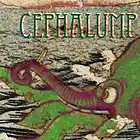 Picture for song 'try not to panic' by artist 'cephalump'
