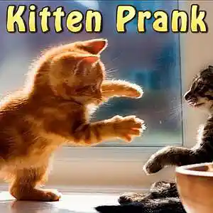 Picture for song 'Sick Kitten' by artist 'JoshPranks'