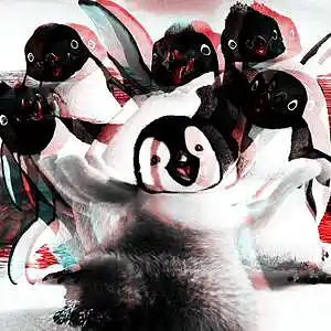 Picture for song 'SUMMER BEAT' by artist 'MARSHALLYT'