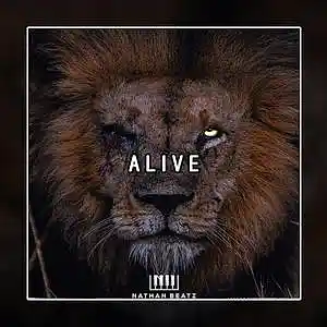 Picture for song 'Alive [Rylo Rodriguez x Lil Poppa x Noodah05 Type ' by artist 'Nathan Beatz'