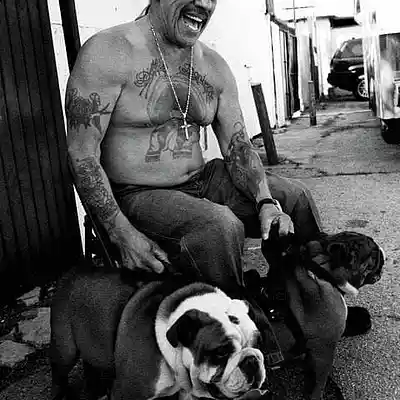 Picture for song '"BULLDOG" Ñengo Flow x Anuel Type beat' by artist 'prodbysar'