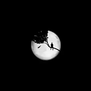 Picture for song 'Alone In The Night' by artist 'Prod Drex14'