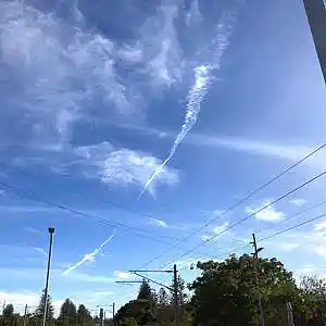 Picture for song 'lonesome blues (park excerpt)' by artist 'tichphillips'