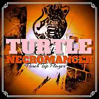 Picture for song 'Porch Top Player' by artist 'Turtle Necromancer'