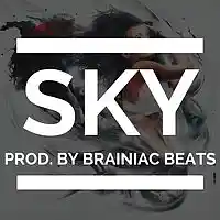 Picture for song 'SKY' by artist 'Brainiac Beats'