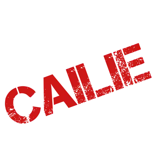Picture for song 'Insel (Demotape)' by artist 'CAILIE'