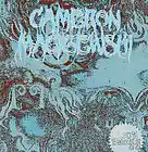 Picture for song 'VULGAR 2MIX Instrumental by Cameron macigewski' by artist 'FatBeats'