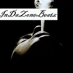 Picture for song 'StyleAintFree(beat)' by artist 'InDaZoneBeatz'