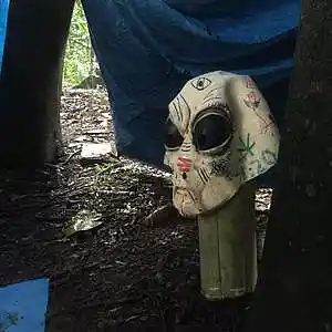 Picture for song 'sorria, você está chapado' by artist 'Magisvidette'