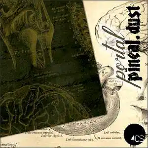Picture for song 'PINEAL DUST (Original Mix)' by artist 'P0RTAL'