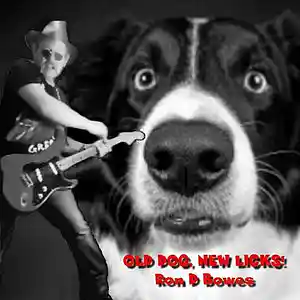 Picture for song 'Let It Burn' by artist 'Ron D Bowes'