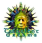 Picture for song 'Forbidden Dub Trancient Dreams and Eat Static 2010' by artist 'Trancient Dreams'