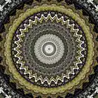 Picture for song 'Camel Ride' by artist 'Alexandre Falcao'