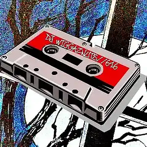 Picture for song 'COLD WRIST TAGGED' by artist 'DJNUTS616'